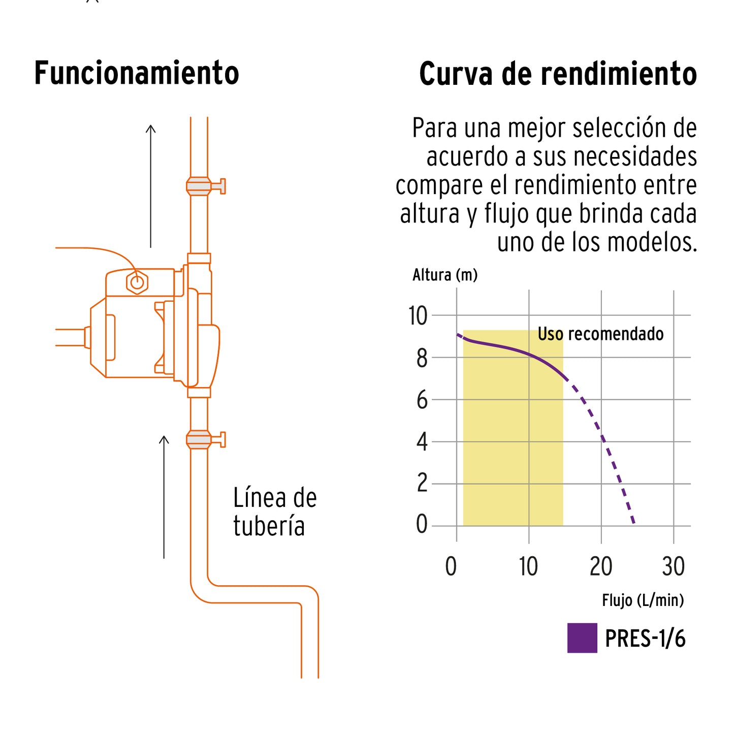 1 Servicio